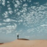 Cicero’s De Finibus Bonorum